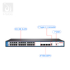 24 порта L3 Core Switch управляется гигабитом в сети